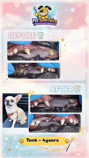 Before and after dental cleaning showing cleaner teeth